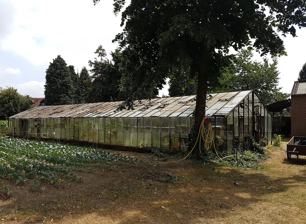 Serre polycarbonate : quel modèle choisir selon votre potager ?
