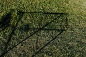 Faire pousser du gazon : le guide pour réussir ses semis